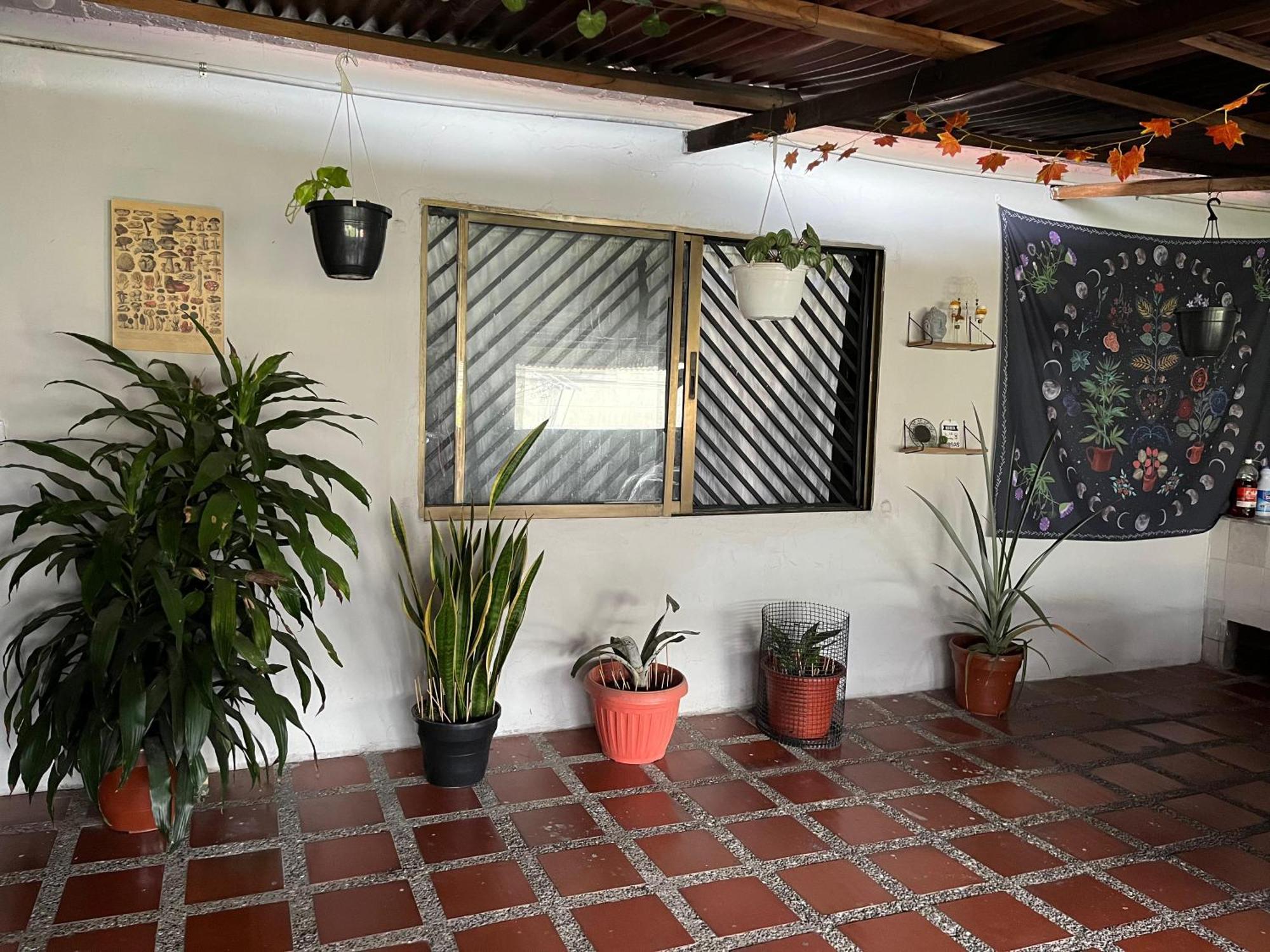 Nice Place Medellín Exterior foto